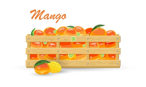 Mogna tropiska frukter mango — Stock vektor