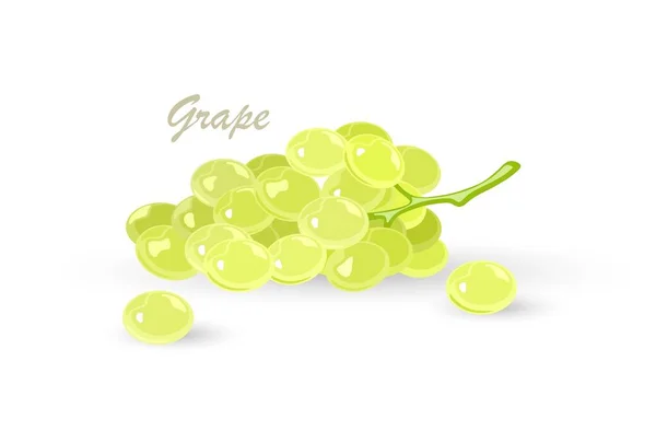 Um bando de uvas verdes com folhas. Frutas com sabor doce ou azedo. — Vetor de Stock