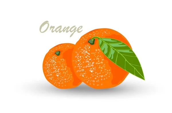 Cartoon juicy orange fruit — Stock Vector