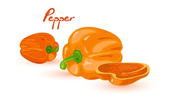Dibujos animados naranja pimienta vegetal — Vector de stock