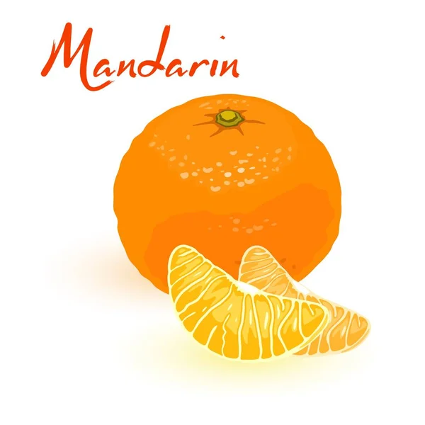 Mandarina cítrica suculenta de desenhos animados — Vetor de Stock