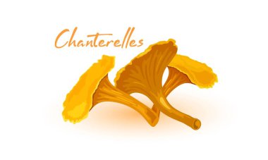 Çiğ mantar mantarı çizgi filmi.