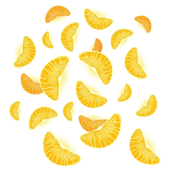 Rodajas de mandarina — Vector de stock