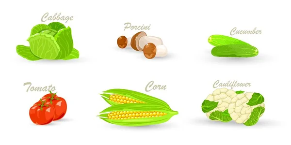 Verzameling van vegetarisch voedsel — Stockvector