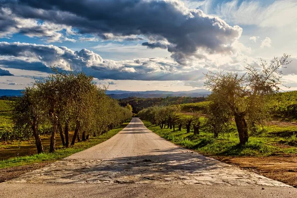 Landelijke Weg Toscane Italië Met Pittoreske Lucht Wolken Achtergrond Verdwijningspunt — Stockfoto