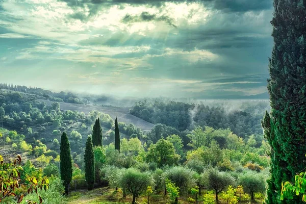 Pintoresca Campiña Verde Toscana Italia Con Sol Brillando Través Las — Foto de Stock