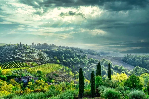 Landschappelijk Landschap Toscane Italië Met Glooiende Groene Heuvels Zonneschijn Door — Stockfoto