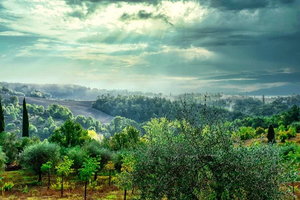 Γραφικό Πράσινο Τοπίο Της Τοσκάνης Ιταλία Ήλιο Κορυφώνεται Μέσα Από — Φωτογραφία Αρχείου