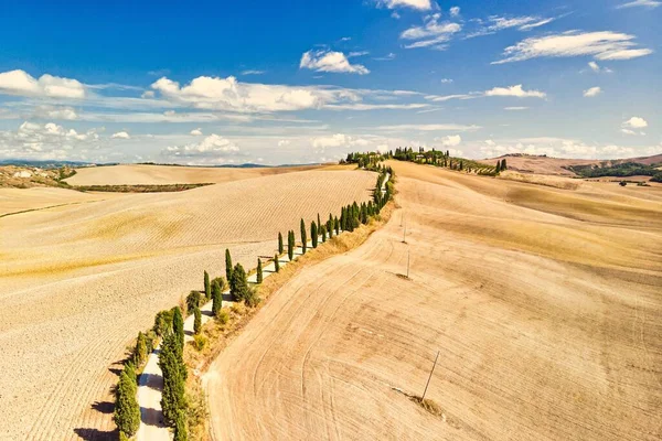 Campos Dorados Siena Toscana Italia Con Carretera Cielo Azul Verano —  Fotos de Stock