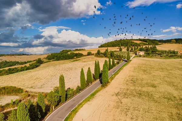 Πεδία Και Δρόμος Σμήνος Πουλιών Στον Καλοκαιρινό Ουρανό Στην Τοσκάνη — Φωτογραφία Αρχείου
