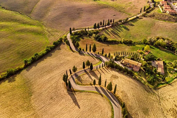 Zicht Vanuit Lucht Kronkelweggetjes Gouden Boerderijvelden Pienza Toscane Italië — Stockfoto