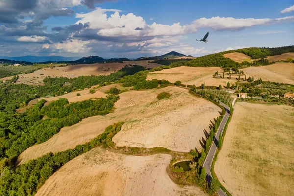 黄金のフィールドとワシの飛行とピエンツァトスカーナイタリアの牧歌的な風景 空中風景 — ストック写真