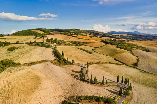 Paisaje Verano Con Sinuoso Camino Campos Cultivo Oro Cerca Pienza —  Fotos de Stock