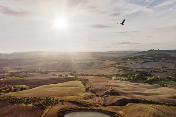 Italiaans Landschappelijk Landschap Vlakbij Pienza Toscane Met Vogel Lucht Panoramisch — Stockfoto