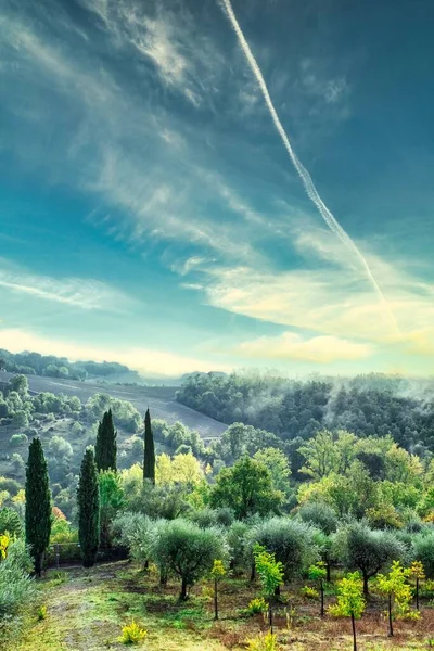 Ειδυλλιακό Καλοκαιρινό Τοπίο Στην Τοσκάνη Ιταλίας Πράσινα Δέντρα Και Μπλε — Φωτογραφία Αρχείου