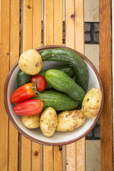 Mixed organic vegetables in bowl — Stock Photo, Image