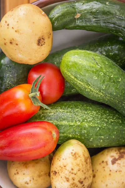 Komkommer en tomatoe in de tuin — Stockfoto