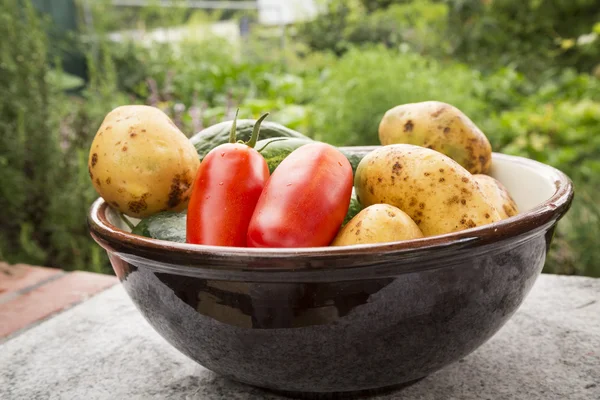 Verdure biologiche miste in ciotola — Foto Stock