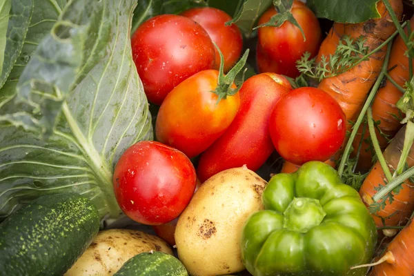 Verdure biologiche in scatola di legno — Foto Stock