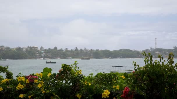 Lluvia con barcos sobre fondo — Vídeos de Stock