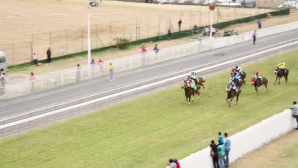 Spectators watching the horses run — Stock Video