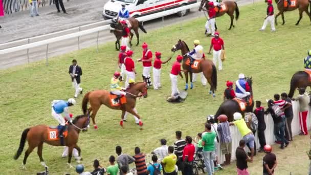 Jockeys förbereder sina hästar — Stockvideo