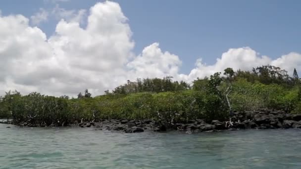 在 Ile aux 芬岛，毛里求斯附近景观 — 图库视频影像