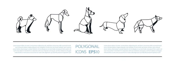 Polygonal Dogs Linear Icons Set vorhanden. Low Poly Dog Logos mit verschiedenen Rassen. — Stockvektor