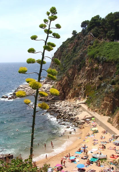 Costa Brava, Katalonya, İspanya