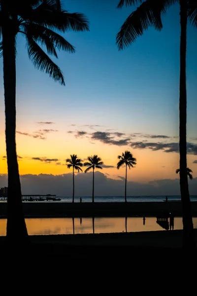 日の出のラグーンに反射したビーチのヤシの木の列 — ストック写真