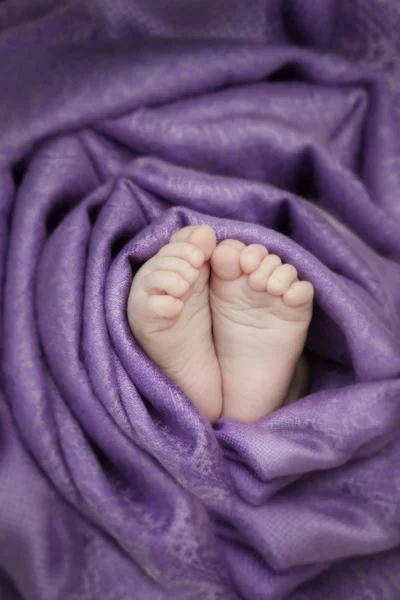 Baby feet wrapped with a soft cloth — Stock Photo, Image