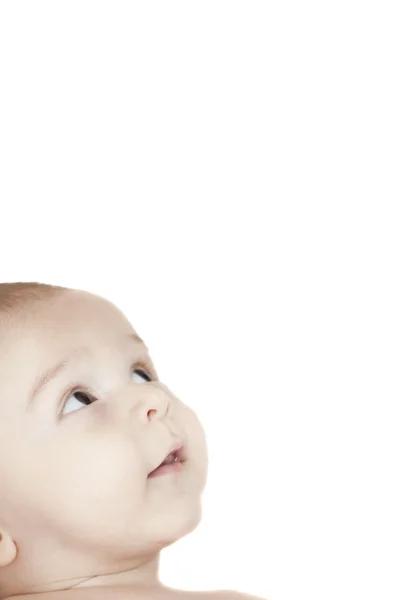 Baby on a white background — Stock Photo, Image