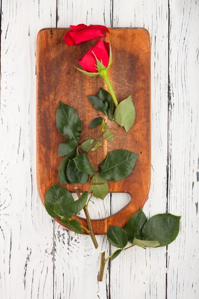 Růže na desky — Stock fotografie