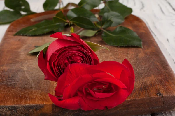 Троянда на дошках — стокове фото