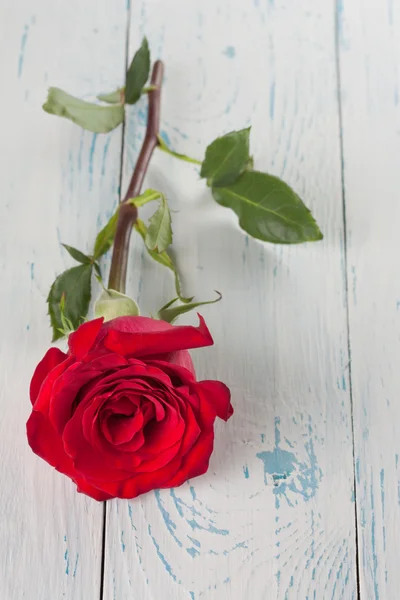 Róża na deskach — Zdjęcie stockowe