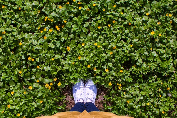 Beine und Gras — Stockfoto