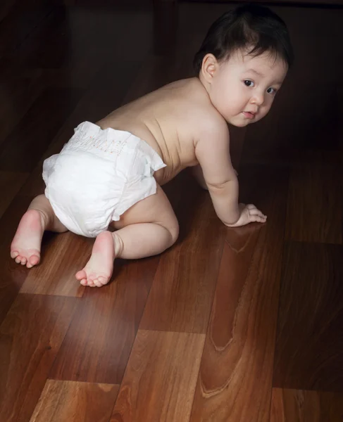 baby crawls on all fours