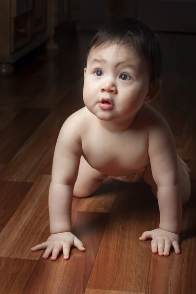 Baby crawls on all fours — Stock Photo, Image