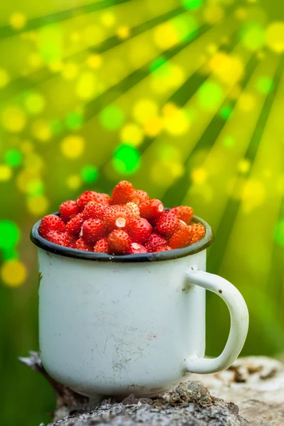 A glass of strawberry — Stock Photo, Image