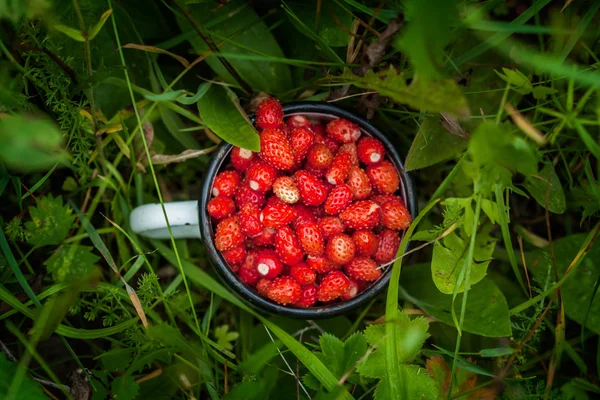 A glass with strawberries — Stock Photo, Image