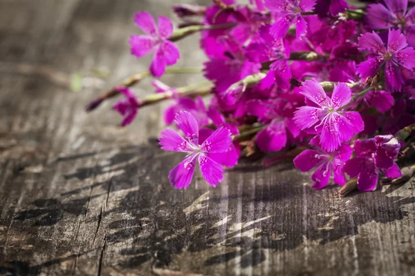 Bouquet of flowers — Stock Photo, Image