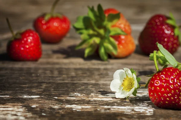 Strawberries — Stock Photo, Image