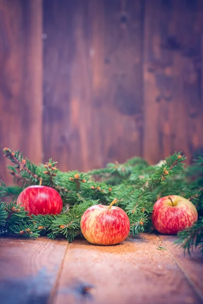 Ramo di mele e abeti — Foto Stock