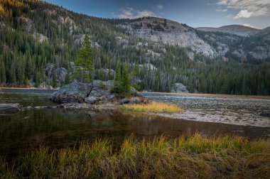 Yalnız Çam Gölü 'nün otlak kıyı şeridi. Rocky Dağı Ulusal Parkı' ndaki doğu körfezi patikası.