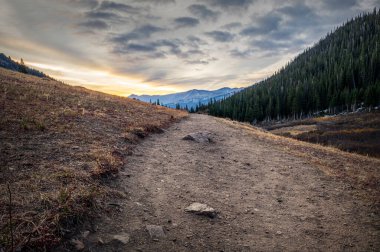 Herman Gulch 'un ağaç ufkuna doğru gittiği yüksek rakımlı tepelerde gün doğumu.