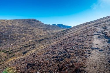 James Peak 'in vahşi doğasında, Colorado 13er' i Flora Dağı 'na kadar iyi korunan bir yürüyüş yolu.