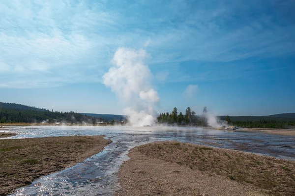 Comet Geyser Erupting Yellowstone National Park — Stock Photo, Image