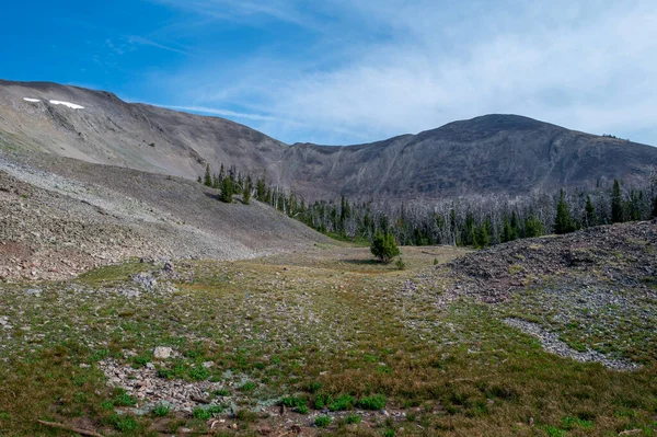 Avalanche Peak Landscape Trail Treeline Yellowstone National Park Wyoming Verenigde — Stockfoto