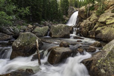 Rocky Mountain Ulusal Parkı 'ndaki Alberta Şelalesi' nin alçak açılı görüntüsü, Colorado, ABD