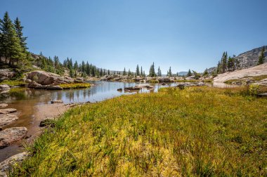 Colorado, ABD 'deki Rocky Dağı Ulusal Parkı' nın güzel ve ücra bir bölgesi.